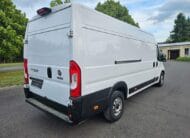 Fiat DUCATO MAXI – 3500kg, in rate, leasing